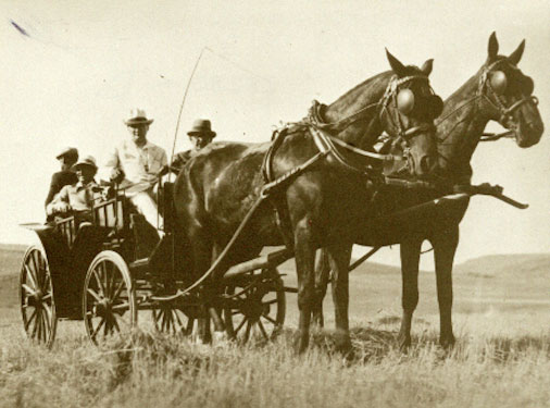 Cumhurbaşkanı Gazi Mustafa Kemal, Orman Çiftliği'nde (14 Temmuz 1929)